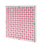 45W Led Light Therapy Deep Red 660nm and Near Infrared 850nm Led Light Therapy Panel (2)