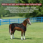 Full-Body Equine Red Light Therapy Blanket