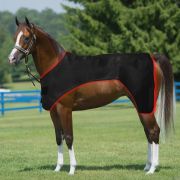 Full-Body Equine Red Light Therapy Blanket