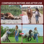 Full-Body Equine Red Light Therapy Blanket