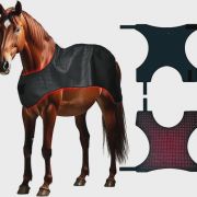 Full-Body Equine Red Light Therapy Blanket