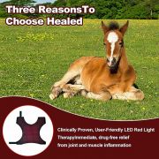 Full-Body Equine Red Light Therapy Blanket