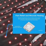 Full-Body Equine Red Light Therapy Blanket