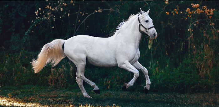 PTL-Blog-Header_938a514e-859c-4efa-8484-fe1af68cd2d2