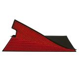Red and Infrared Light Therapy Bag (2)
