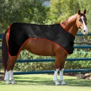Full Body Red Light Therapy Horse with 660nm 850nm for Equine Care