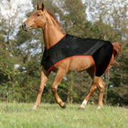 Full Body Red Light Therapy Horse with 660nm 850nm for Equine Care