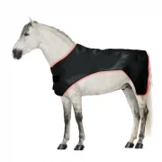 Full Body Red Light Therapy Horse with 660nm 850nm for Equine Care
