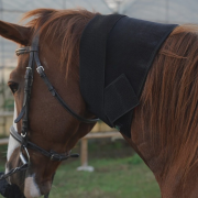 Red Infrared Light Therapy Wrap for Horses back – Size: M