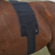 Red Infrared Light Therapy Wrap for Horses back – Size: M