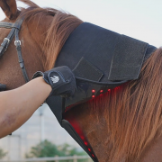 Red Infrared Light Therapy Wrap for Horses back – Size: M